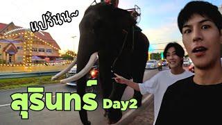 [Eng] We are at the Best Elephant festival in Surin