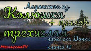 #рр4 Ладожское  оз   Колюшка трехиглая + прилов   Прокачка Донки 1.06