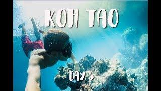 SNORKELING AROUND KOH TAO - THAILAND VLOG 2017