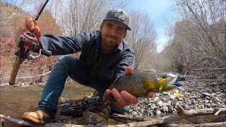 Trout Fishing w/ the CHEAPEST Lures from Walmart!