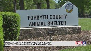 Forsyth County Animal Shelter facing fine after allegations of animal neglect