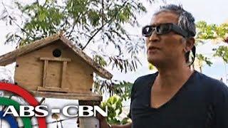 Bandila: Resort sa Pangasinan, ginawang tahanan ng mga ibon