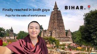 Puja For the sake of world peace ️ Bihar | Bodhgaya | Qp  Bhutia Vlogs | Buddha |