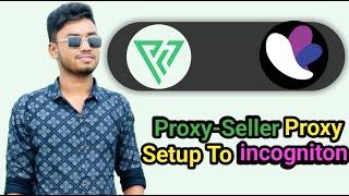 How to set up proxies from Proxy Seller in Incogniton