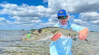 Barracuda 101 // How to Fly Fish for Barracuda