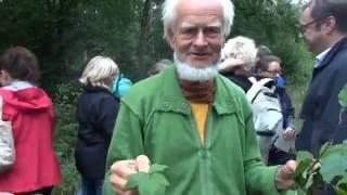 Wildkräuterwanderung mit Prof. Dr. Bernd Gerken bei Schweinfurt August 2015