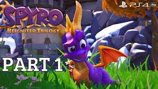 Spyro Reignited Trilogy - Gameplay Walkthrough Part 1 (Spyro 3 Remake 2018) PS4 Pro