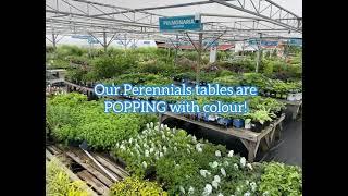 Garden Centre Tour - Perennials
