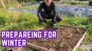 getting ready for autumn/winter in the allotment garden