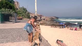  Ipanema Beach Stroll - RIO SUMMER VIBES 2024  LIVE Brazil 4K 60FPS