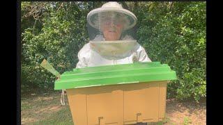 Beekeeping Tip  The Helpful nuc box