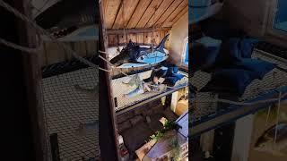 Дом  #данилаякушев #дом #свой_дом #отдых #пятница