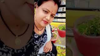 Deewana Rahele Nathuniya Par #shorts #shortsvideo #dance #bhojpuri #punamkumariofficial