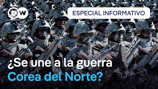 Presencia de tropas norcoreanas en Rusia podría cambiar curso de la guerra en Ucrania según expertos