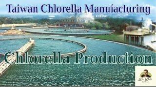 World's Best Chlorella Producer - Taiwan Chlorella