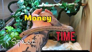 REPTILE KEEPING- LIMITATIONS