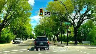 Driving in Canada - Saskatoon Downtown - 春夏秋冬- Chun Xia Qiu Dong