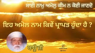 Eh Amol Naam Kivey Prapat Hunda Hai ? Bauji Spiritual Talk