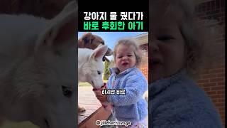 강아지한테 물 줬다가 바로 후회한 아기