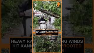 Kerala Weather Alert: Heavy Rains & Winds Uproot Trees in Kannur | Relief Work Underway |News9