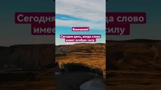 У тебя будет всё, когда ты поймёшь силу этого дня #мудростьжизни #мудрыемысли #саморазвитие