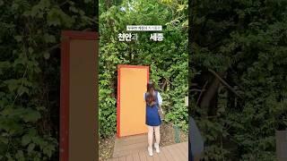 인스타핫플각 천안&세종 근교 여행지