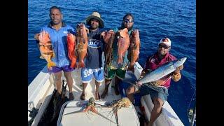 Spearfishing Palm Island NQ at Great Barrier Reef a 2 Day Trip (Spearfishing Video).