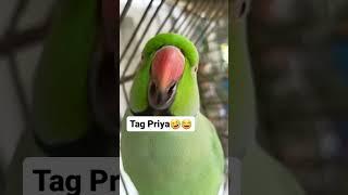 priya funny video #yuvi.x1 #yuviofficial #yuviPB35