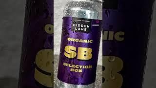  Beer time from Hidden Lane Organic Brewery⁠ (West End, Glasgow)