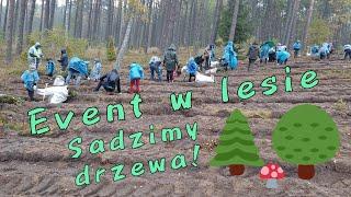 Event w lesie - akcja sadzenia drzew 2022