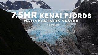 7.5hr Kenai Fjords National Park Cruise in 5 Minutes | Major Marine Tours | Alaska