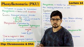 PhenylKetonuria (PKU) | A Genetic Disorder | Lecture 14