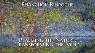 Realizing the Nature: Transforming the Mind