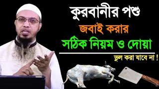 কুরবানী পশু জবাই করার সঠিক নিয়ম ও দোয়া |কোন দোয়া পড়ে জবাই করবেন?শায়খ আহমাদুল্লাহ |Shaikh Ahmadullah