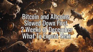 The Daily Update - Bitcoin and Altcoins Slowed Down First 2 Weeks of December. What To Expect Next