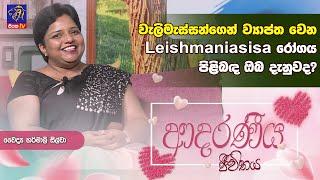 වැලිමැස්සන්ගෙන් ව්‍යාප්ත වෙන Leishmaniasis රෝගය පිළිබඳ ඔබ දැනුවද?| Adaraneeya Jeewithaya