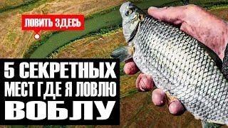 ГДЕ ЛОВИТЬ ВОБЛУ В 2024 ГОДУ? РАСКРЫВАЮ СВОИ МЕСТА ДЛЯ РЫБАЛКИ В АСТРАХАНИ!