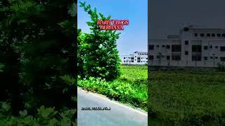 BARH_VLOGS _NO_1️ CREATOR:- HARSH RAJ AND PREM RAJ I LOVE BARH ️ EDITING BY:- BARH VLOGS NO_1