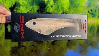 Fishing a LOADED River with the Comeback Shad Swimbait