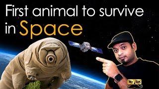 The Most Resilient Animals in the Universe | Tardigrades in Tamil | Mr.GK