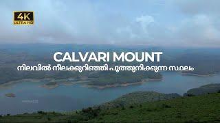 Calvary Mount | Neelakurunji Bloom Spot | Idukki | Vlog#82