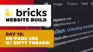 Day 12: On-Page SEO and Google Search Console | Bricks website build: MyxoTech