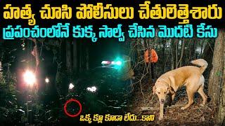 కుక్క సాల్వ్ చేసిన మొదటి కేసు| Mysteries Case Solved by Dog | Telugu waves | Voice of venkat