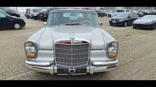 Mercedes 600, Hapitec, Rosier Classic Sterne