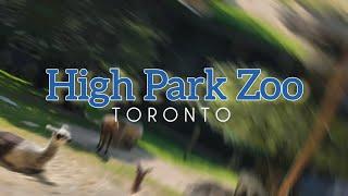 High Park Zoo Toronto