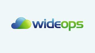 Short company profile animation video for - WideOps Google cloud service provider base in Israel