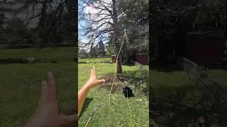 How’d you get your line up there? #buckinexperience #treelife #treeservice #outdoors #removal