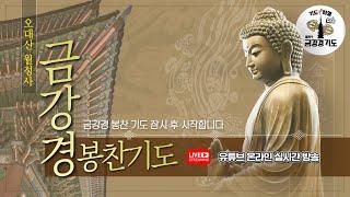 금강경 봉찬 저녁 온라인 기도 | 2025 을사년 6월 23일 월요일 저녁 6:30~8:00