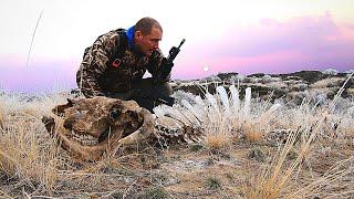 Remote Desert Hunting!!! You won't believe what we found... (Off-Road Van Life)