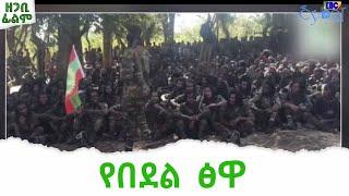 ሸኔ እያደረሰ ያለው ጥፋት Etv | Ethiopia | News